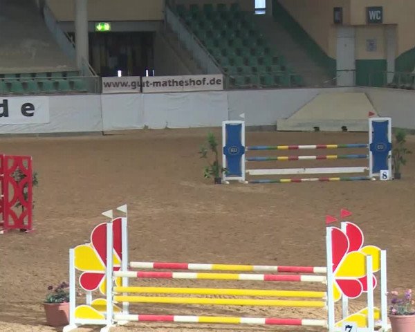 Jezdecký turnaj Kreuth/Opf. 2020