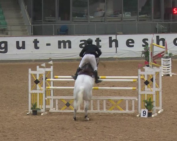 Reitturnier Kreuth/Opf. 2020