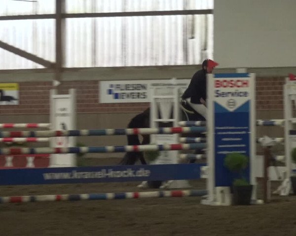 Reitturnier Lembeck 2020