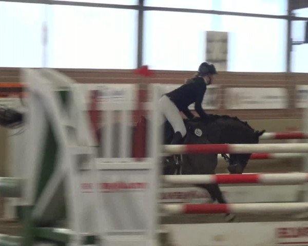 Reitturnier Lembeck 2020