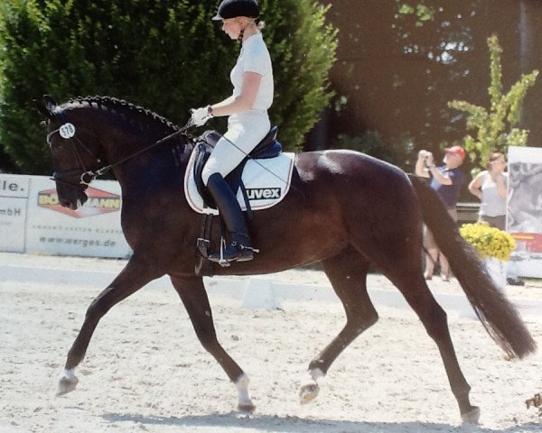 broodmare ZINQ Farlana FH (Hanoverian, 2011, from Fürstenball)