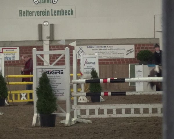 Reitturnier Lembeck 2020