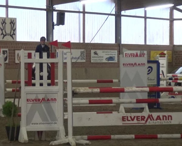 Reitturnier Lembeck 2020