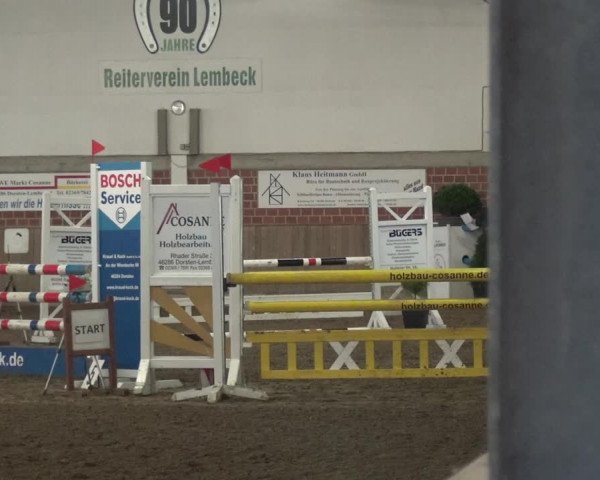 Reitturnier Lembeck 2020