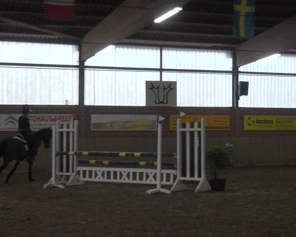 Reitturnier Lembeck 2020
