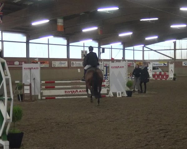 Reitturnier Lembeck 2020