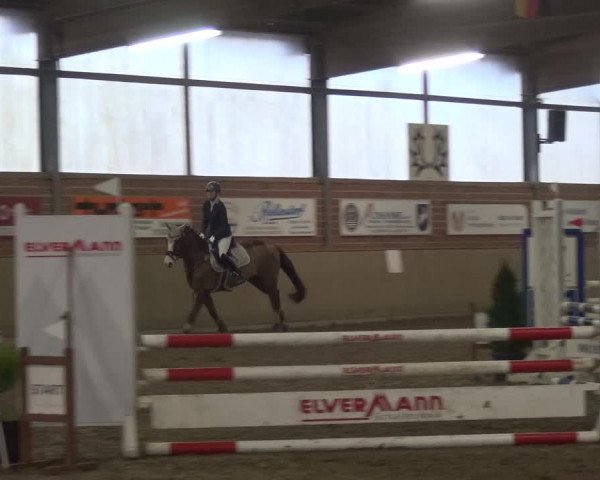 Reitturnier Lembeck 2020