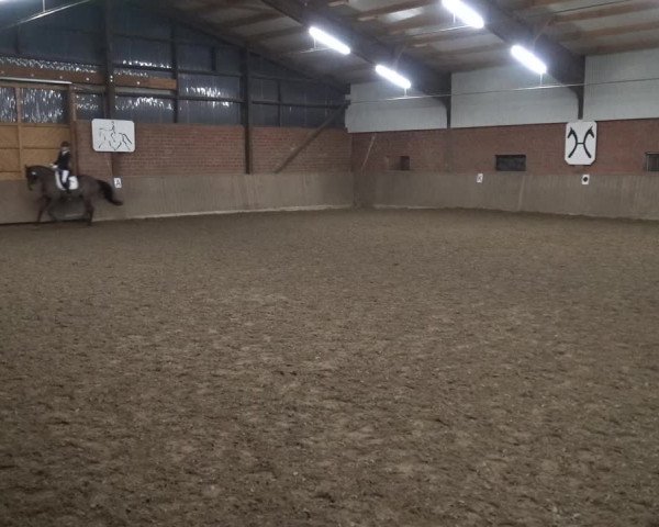Reitturnier Lembeck 2020