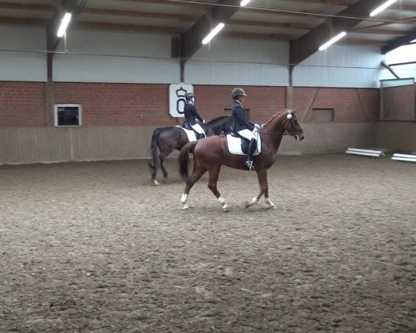 Reitturnier Lembeck 2020