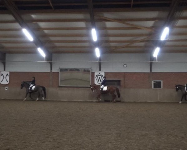 Reitturnier Lembeck 2020
