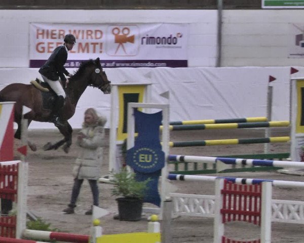 Reitturnier Viernheim 2020
