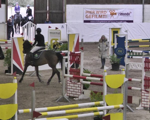 Reitturnier Viernheim 2020