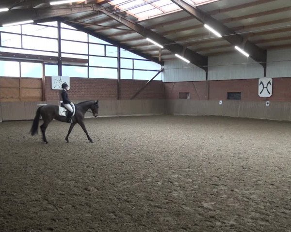 Reitturnier Lembeck 2020
