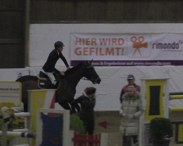 Reitturnier Viernheim 2020