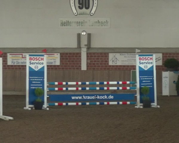 Reitturnier Lembeck 2020