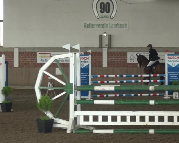 Reitturnier Lembeck 2020