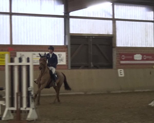 Reitturnier Lembeck 2020