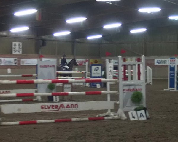 Reitturnier Lembeck 2020