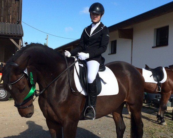 broodmare Fantasie 308 (German Sport Horse, 2008, from Charon)