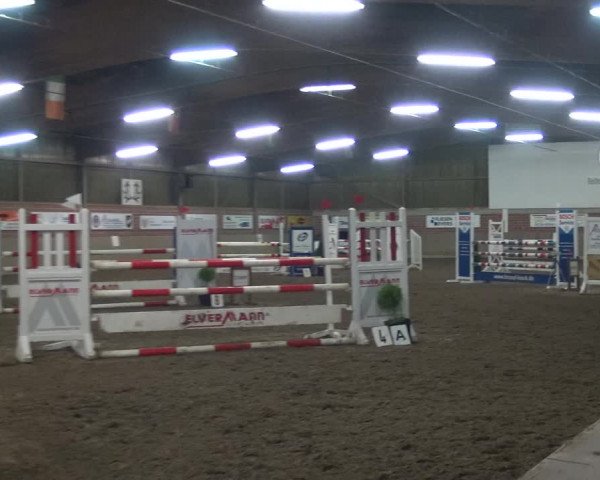 Reitturnier Lembeck 2020