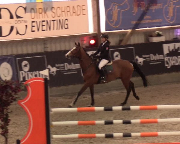 Nordic Jumping events 2020: Turnierergebnisse + Videos