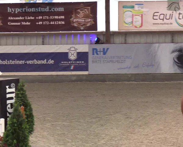 Nordic Jumping events 2020: Turnierergebnisse + Videos