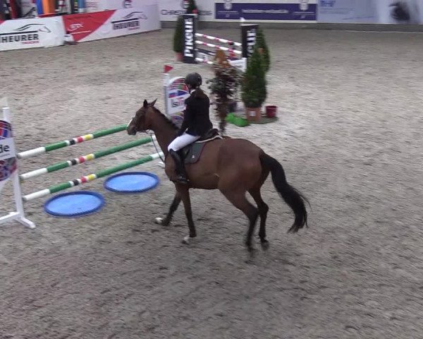 Nordic Jumping events 2020: Turnierergebnisse + Videos