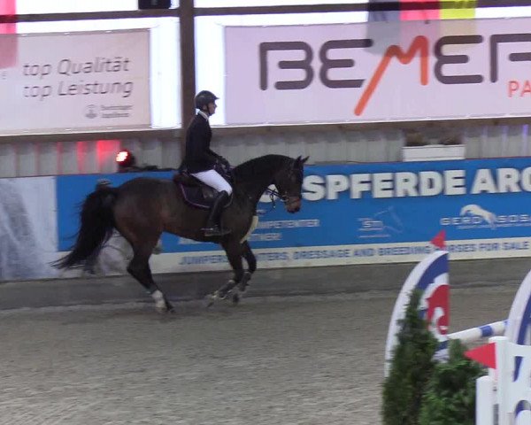 Nordic Jumping events 2020: Turnierergebnisse + Videos