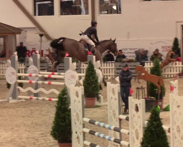 Nordic Jumping events 2020: Turnierergebnisse + Videos