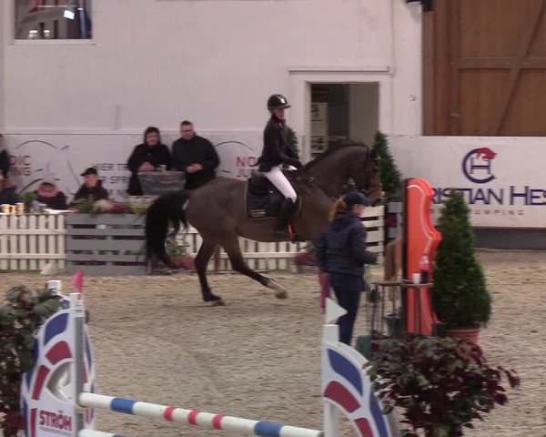 Nordic Jumping events 2020: Turnierergebnisse + Videos