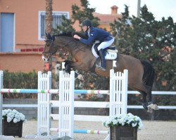 jumper Cawender (KWPN (Royal Dutch Sporthorse), 2007, from Wender R)