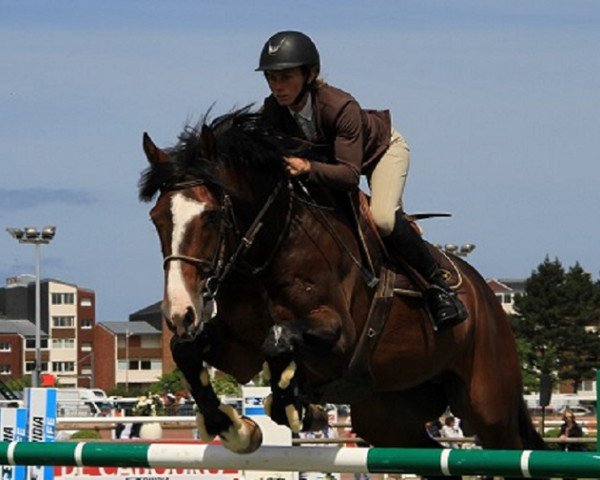 Springpferd Rolex de La Lande (Selle Français, 2005, von Cyrius de la Lande)