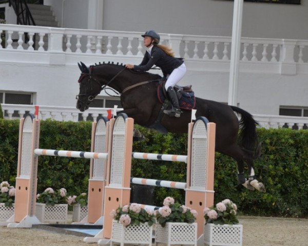 Springpferd Sandi Puigroq (Spanisches Sportpferd, 2007, von Diamant de Semilly)