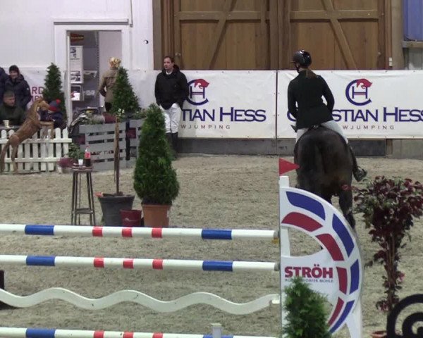 Nordic Jumping events 2020: Turnierergebnisse + Videos