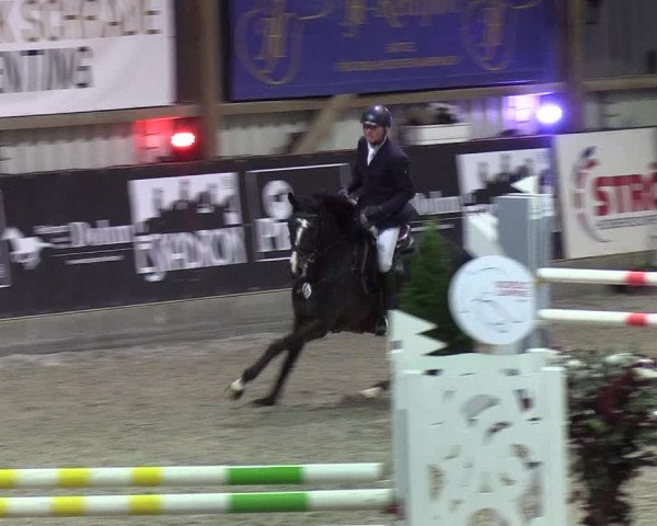 Nordic Jumping events 2020: Turnierergebnisse + Videos