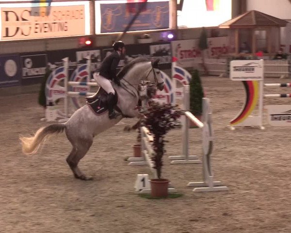 Nordic Jumping events 2020: Turnierergebnisse + Videos