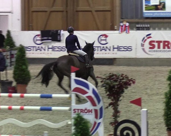 Nordic Jumping events 2020: Turnierergebnisse + Videos