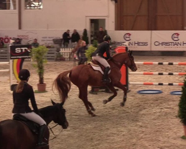 Nordic Jumping events 2020: Turnierergebnisse + Videos