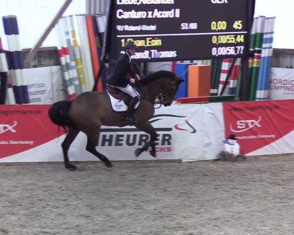 Nordic Jumping events 2020: Turnierergebnisse + Videos