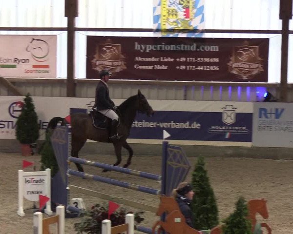 Nordic Jumping events 2020: Turnierergebnisse + Videos