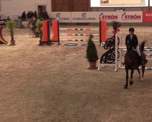 Nordic Jumping events 2020: Turnierergebnisse + Videos