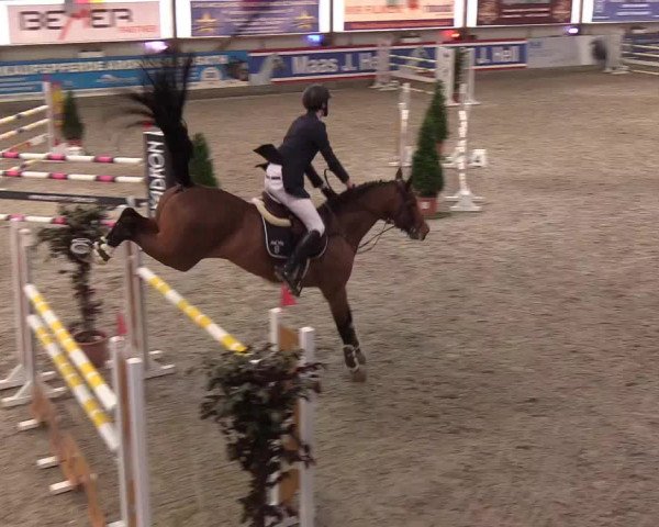 Nordic Jumping events 2020: Turnierergebnisse + Videos