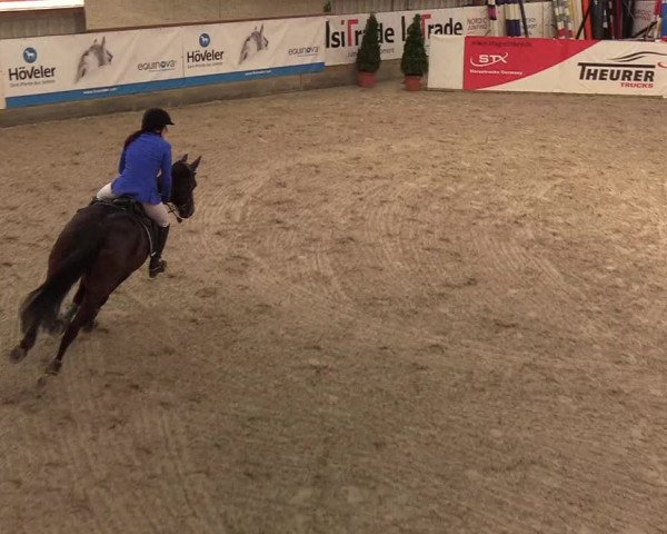Nordic Jumping events 2020: Turnierergebnisse + Videos