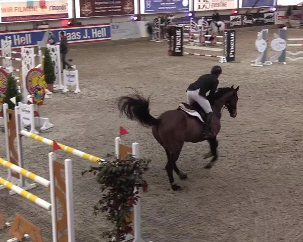 Nordic Jumping events 2020: Turnierergebnisse + Videos
