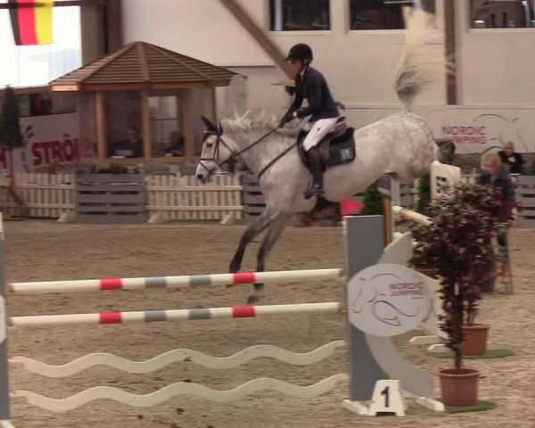Nordic Jumping events 2020: Turnierergebnisse + Videos
