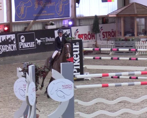 Nordic Jumping events 2020: Turnierergebnisse + Videos