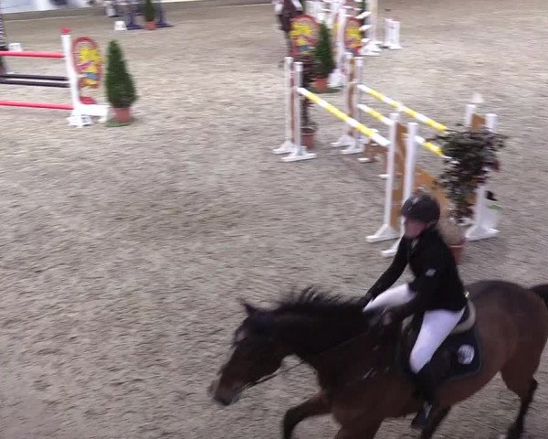 Nordic Jumping events 2020: Turnierergebnisse + Videos