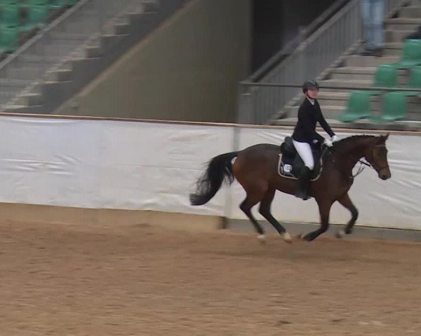Reitturnier Kreuth/Opf. 2020