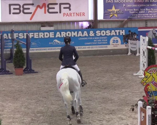 Nordic Jumping events 2020: Turnierergebnisse + Videos