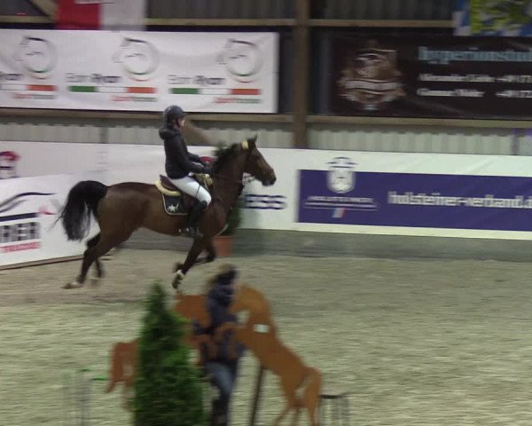 Nordic Jumping events 2020: Turnierergebnisse + Videos